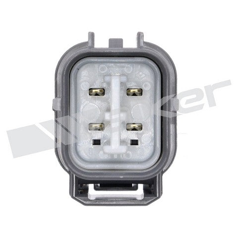 https://www.ShowMeThePartsdb.com/bin/images/WalkerProducts/250-24099_3.jpg