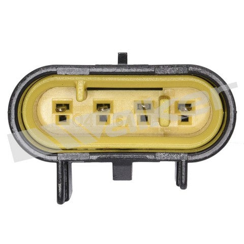 https://www.ShowMeThePartsdb.com/bin/images/WalkerProducts/250-241003_3.JPG