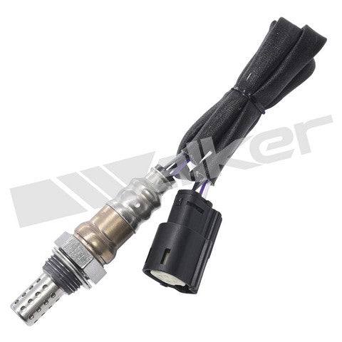Walker Products Oxygen Sensor  250-241023