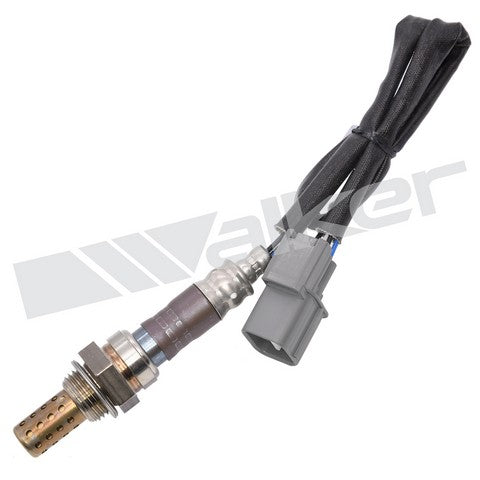 Walker Products Oxygen Sensor  250-241042