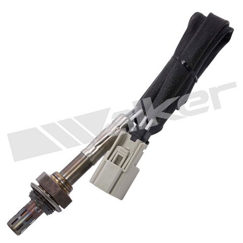 Walker Products Oxygen Sensor  250-241059