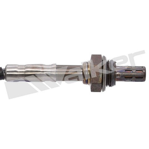 Walker Products Oxygen Sensor  250-241059