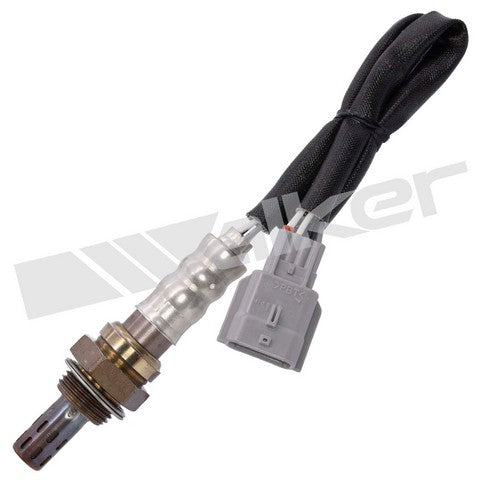 Walker Products Oxygen Sensor  250-241107