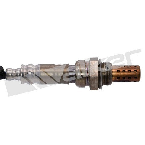 Walker Products Oxygen Sensor  250-241115