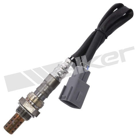 Walker Products Oxygen Sensor  250-241116