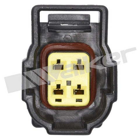 https://www.ShowMeThePartsdb.com/bin/images/WalkerProducts/250-241117_3.jpg