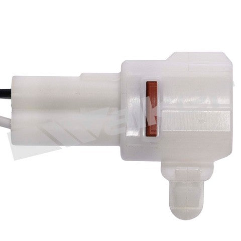 https://www.ShowMeThePartsdb.com/bin/images/WalkerProducts/250-241120_4.jpg