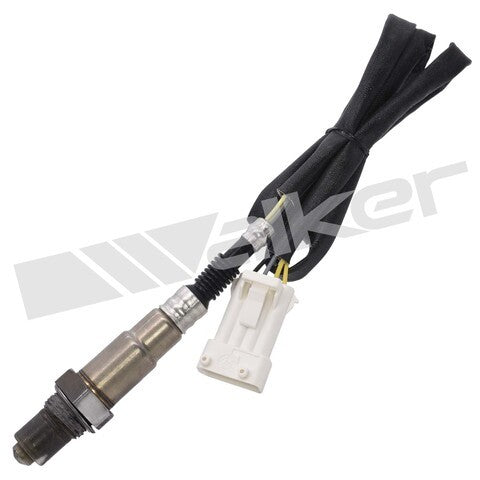 Walker Products Oxygen Sensor  250-241122