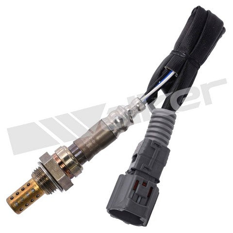 Walker Products Oxygen Sensor  250-241129