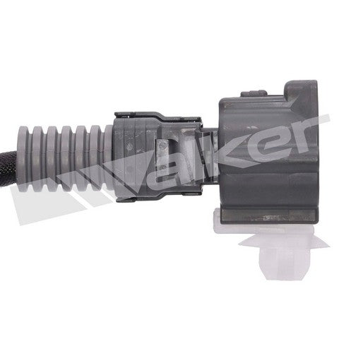 Walker Products Oxygen Sensor  250-241129