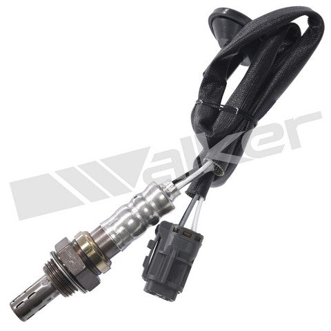 Walker Products Oxygen Sensor  250-241146