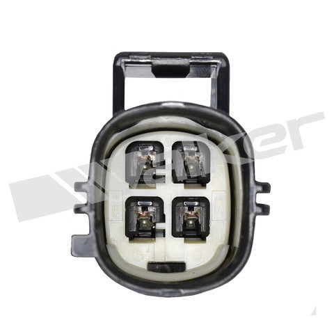 Walker Products Oxygen Sensor  250-241150