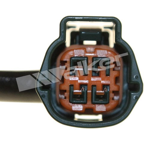 https://www.ShowMeThePartsdb.com/bin/images/WalkerProducts/250-241160_4.JPG