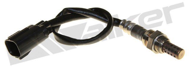 Walker Products Oxygen Sensor  250-241176