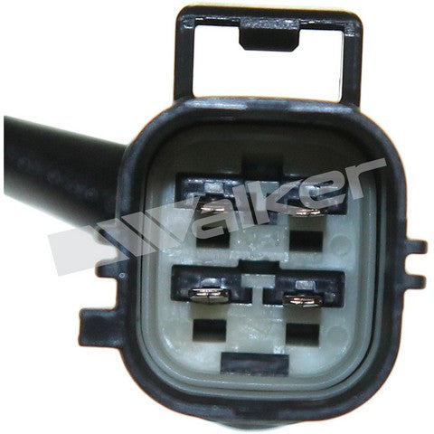 https://www.ShowMeThePartsdb.com/bin/images/WalkerProducts/250-241176_4.JPG