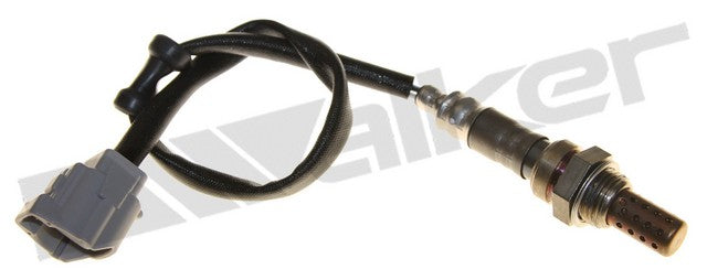 Walker Products Oxygen Sensor  250-241177