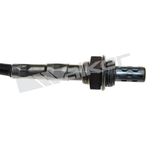 Walker Products Oxygen Sensor  250-241180