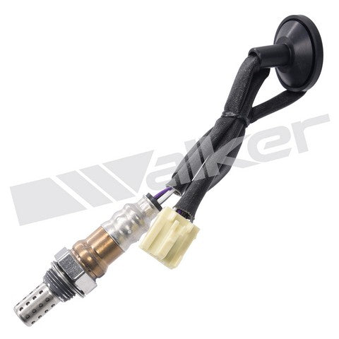 Walker Products Oxygen Sensor  250-241209