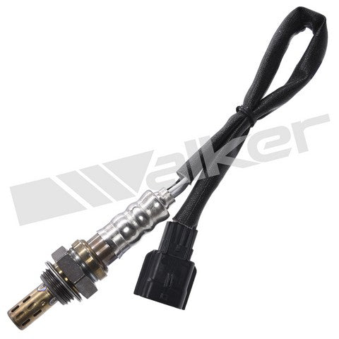 Walker Products Oxygen Sensor  250-241219