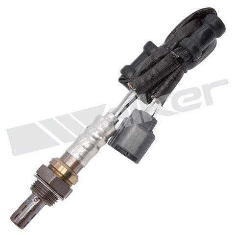 Walker Products Oxygen Sensor  250-24121