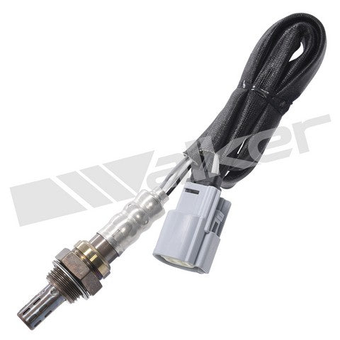 Walker Products Oxygen Sensor  250-241221