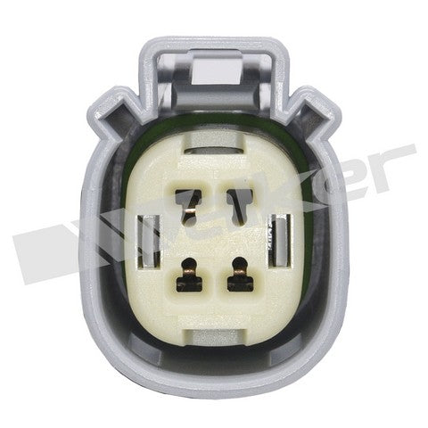 https://www.ShowMeThePartsdb.com/bin/images/WalkerProducts/250-241221_3.jpg