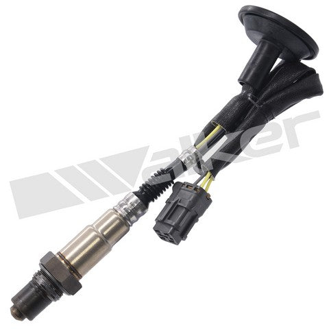 Walker Products Oxygen Sensor  250-241224