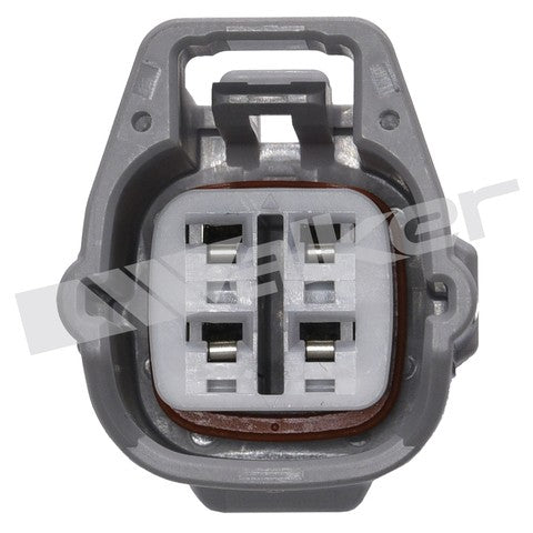 https://www.ShowMeThePartsdb.com/bin/images/WalkerProducts/250-241234_3.jpg