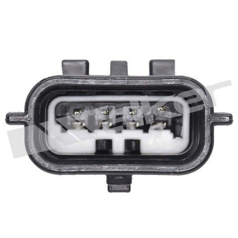 https://www.ShowMeThePartsdb.com/bin/images/WalkerProducts/250-241255_3.jpg