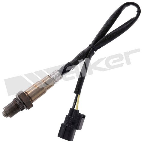 Walker Products Oxygen Sensor  250-241256