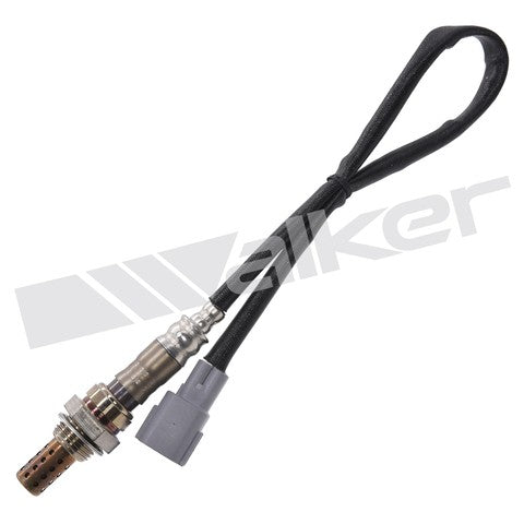 Walker Products Oxygen Sensor  250-241281