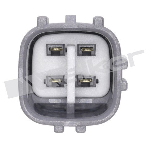 https://www.ShowMeThePartsdb.com/bin/images/WalkerProducts/250-241281_3.jpg