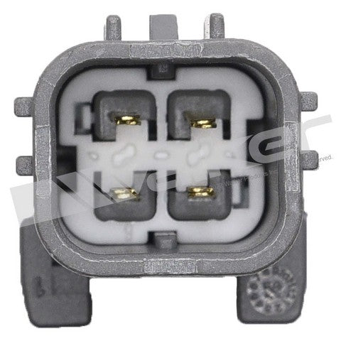 https://www.ShowMeThePartsdb.com/bin/images/WalkerProducts/250-241283_3.jpg