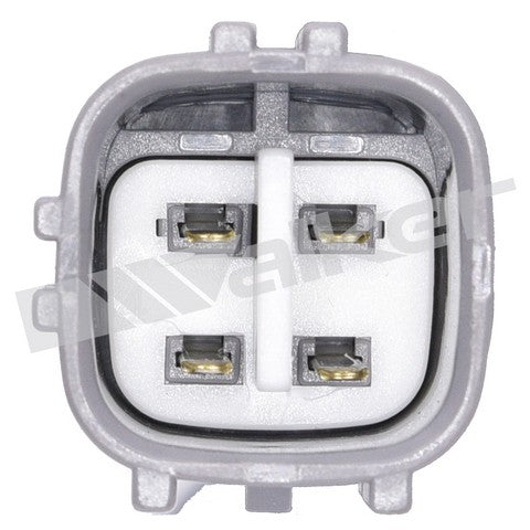 https://www.ShowMeThePartsdb.com/bin/images/WalkerProducts/250-24153_3.jpg