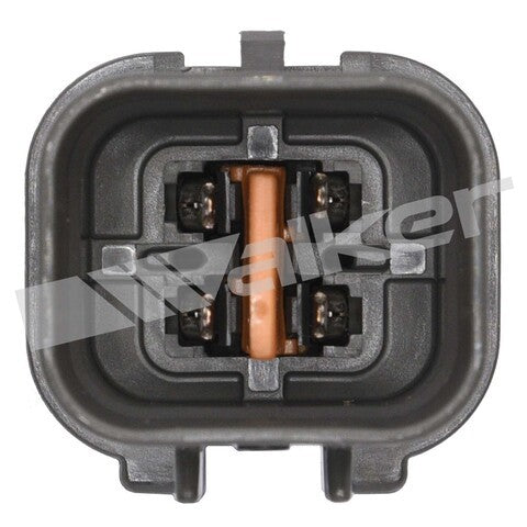 https://www.ShowMeThePartsdb.com/bin/images/WalkerProducts/250-24242_3.jpg