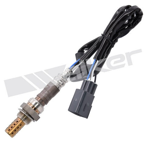 Walker Products Oxygen Sensor  250-24282