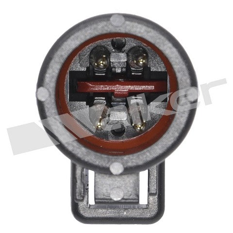 https://www.ShowMeThePartsdb.com/bin/images/WalkerProducts/250-24301_3.jpg