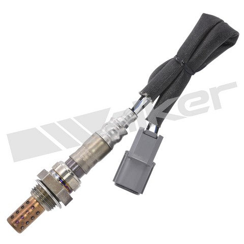 Walker Products Oxygen Sensor  250-24308