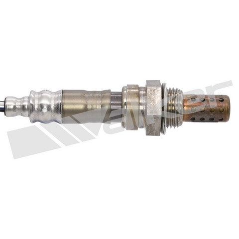 Walker Products Oxygen Sensor  250-24338
