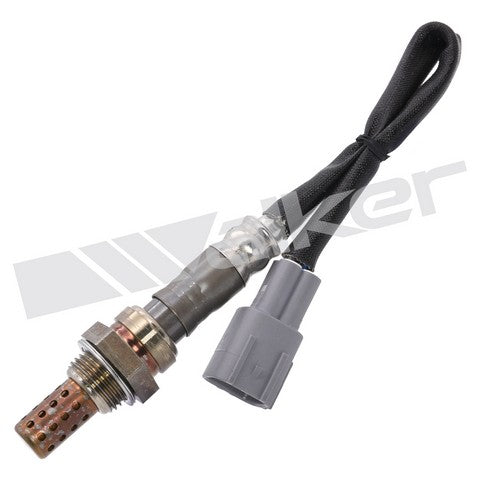 Walker Products Oxygen Sensor  250-24344
