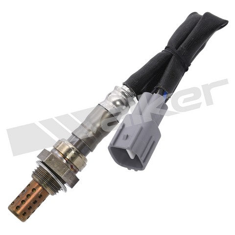 Walker Products Oxygen Sensor  250-24360