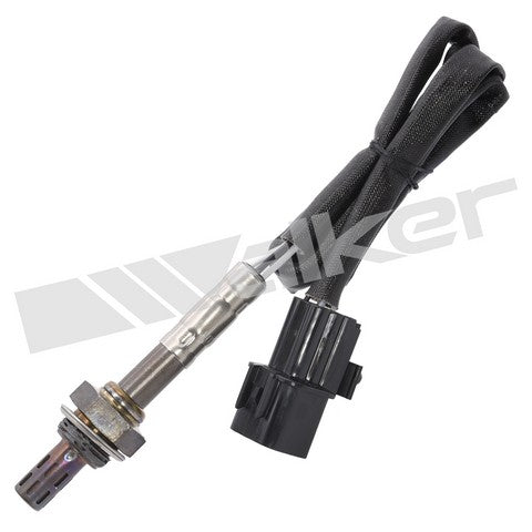 Walker Products Oxygen Sensor  250-24383