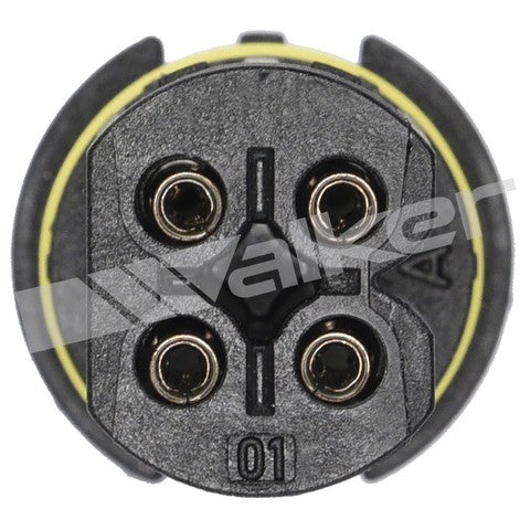 https://www.ShowMeThePartsdb.com/bin/images/WalkerProducts/250-24387_3.jpg