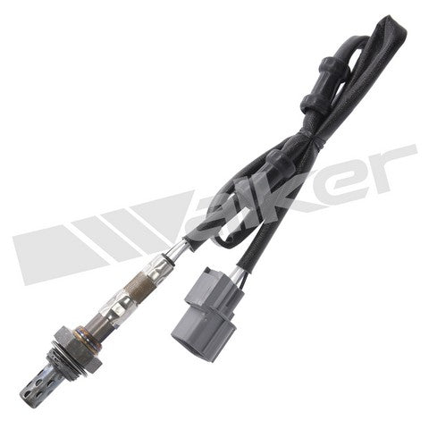Walker Products Oxygen Sensor  250-24391
