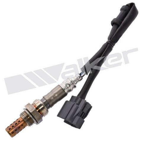 Walker Products Oxygen Sensor  250-24398