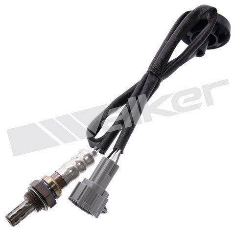 Walker Products Oxygen Sensor  250-24401
