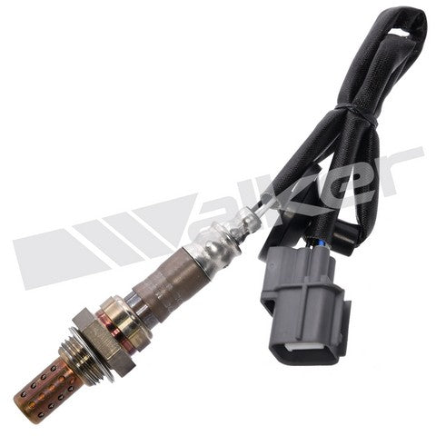 Walker Products Oxygen Sensor  250-24402