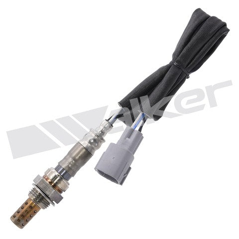 Walker Products Oxygen Sensor  250-24404