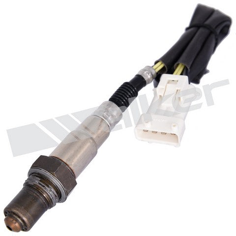 Walker Products Oxygen Sensor  250-24409