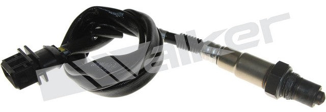 Walker Products Oxygen Sensor  250-24415